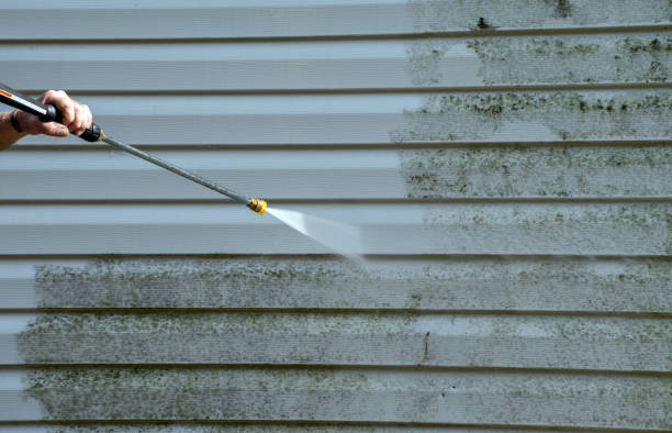 Best Roof Cleaning and Mildew Removal in Unionville, TN